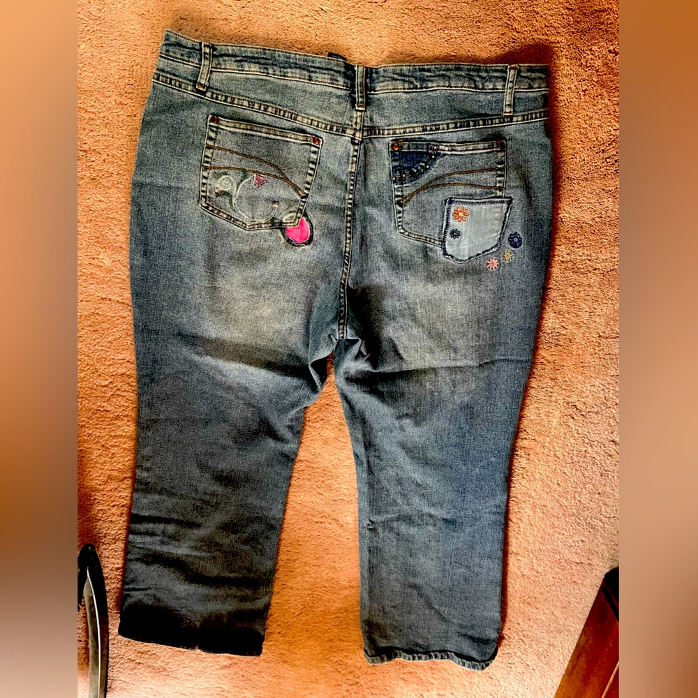Woman’s cute embroidered jeans-distressed but No Holes size 24-pre owned